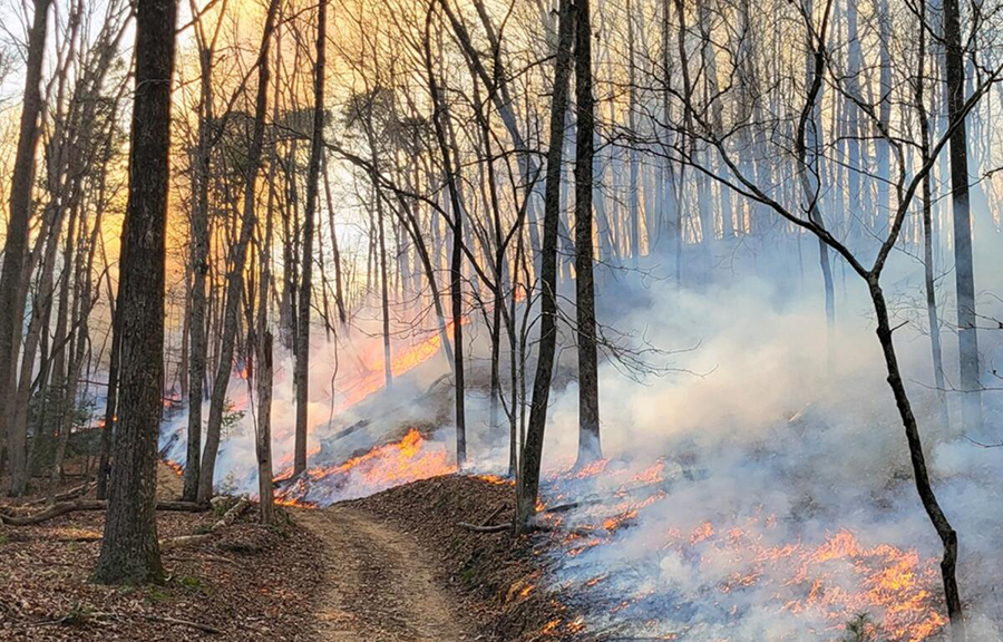 032825 wnc fires main