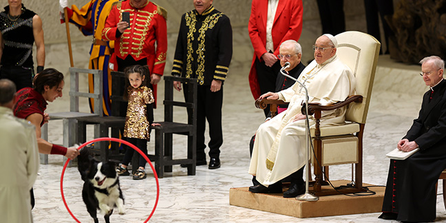 011525 pope audience